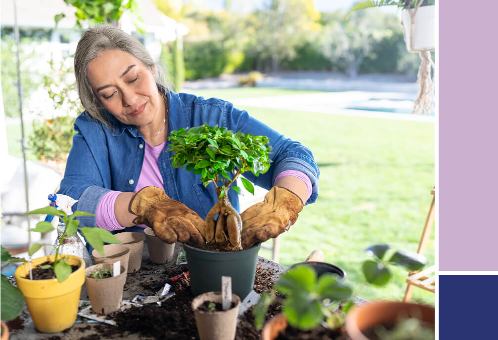 Woman potting a tree.