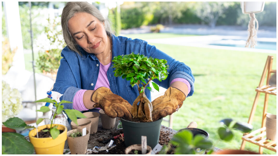 Woman potting a tree.