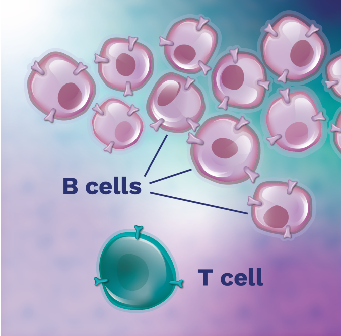 T cell beside clump of cancerous B cells.