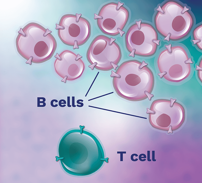 T cell beside clump of cancerous B cells.